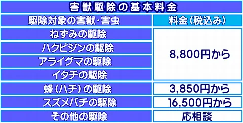 駆除基本料金